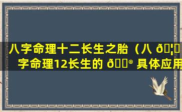 八字命理十二长生之胎（八 🦟 字命理12长生的 💮 具体应用及算法）